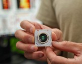 UC Santa Cruz study shows developing brains have inherent structure