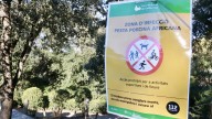 Bajan las visitas a Collserola por la peste porcina y el Parc Natural pide mantener el "sacrificio" hasta que pase la alerta