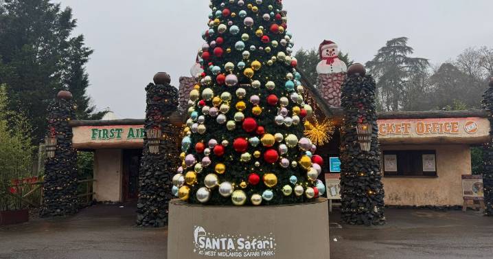 I visited Santa Safari at West Midlands Safari Park and this unexpected moment was the most magical