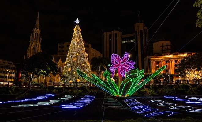 Encendido del Árbol de Navidad Más Grande Marca el Inicio de las Fiestas