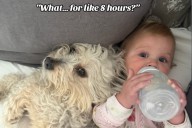 Mom Shares How Toddler Sleeps, Shock at Truth: ‘I Fear This Isn’t Normal’