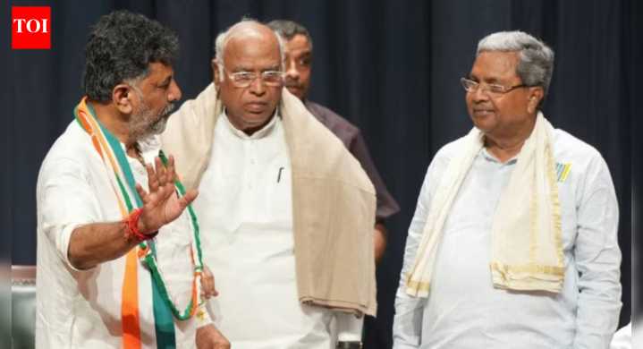 Karnataka CM row: D K Shivakumar will become CM after assembly's winter session, claims Congress MLA