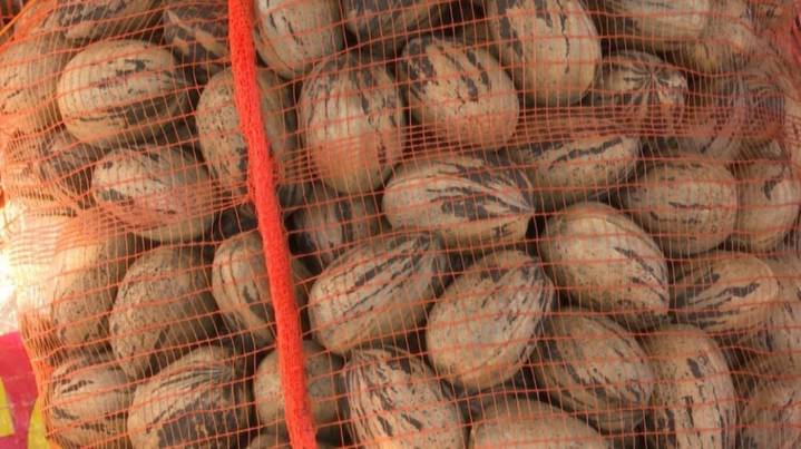 Desde Entre Ríos, se realizó la primera exportación de nuez pecán a China