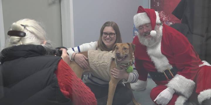 Santa Claus takes photos with furry friends to support Hancock County SPCA