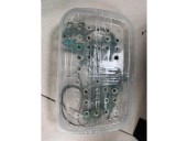 Trichy Customs seizes exotic wildlife from a passenger