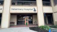 Cremated remains stolen during Brentwood veterinary hospital break