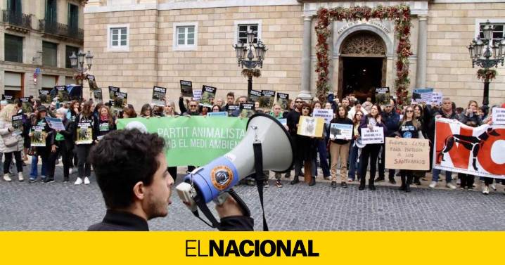 Protesta en Barcelona contra la "masacre" de jabalíes por el estallido de la peste porcina