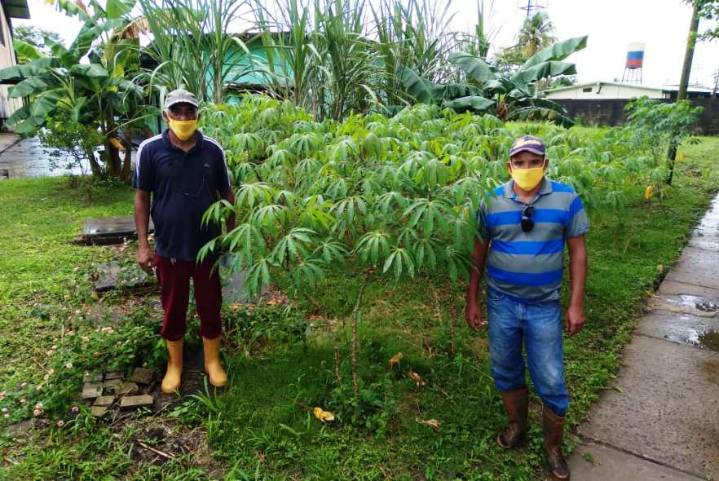 Con “agricultura humana”, Indeda retoña