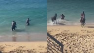 VIDEO. Indignación en Valparaíso: video muestra a dos hombres forzando a caballos para entrar al mar