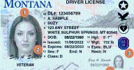 Judge rules Montana DMV discriminated against nonbinary residents