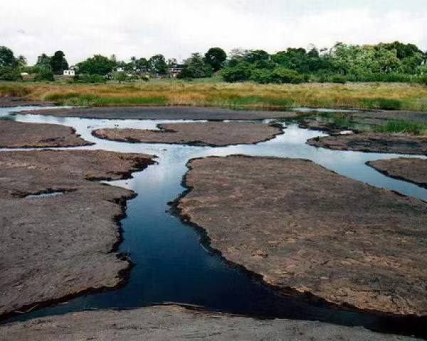 Aprueban Plan Integral de Explotación y Aprovechamiento del Lago de Guanoco
