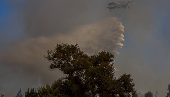 50 hectáreas ha consumido el incendio forestal en Santo Domingo: siniestro "ha bajado bastante la intensidad"