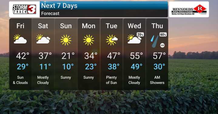 Arctic Blast Followed by Significant Warm