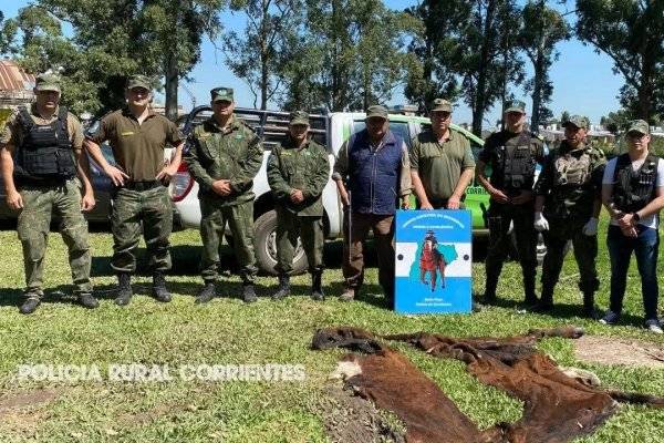 Cuatrero a la cárcel: Dos años de prisión efectiva por robo de animales