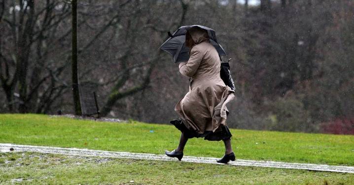 West Lothian braced for heavy rain and disruption as weather warning issued