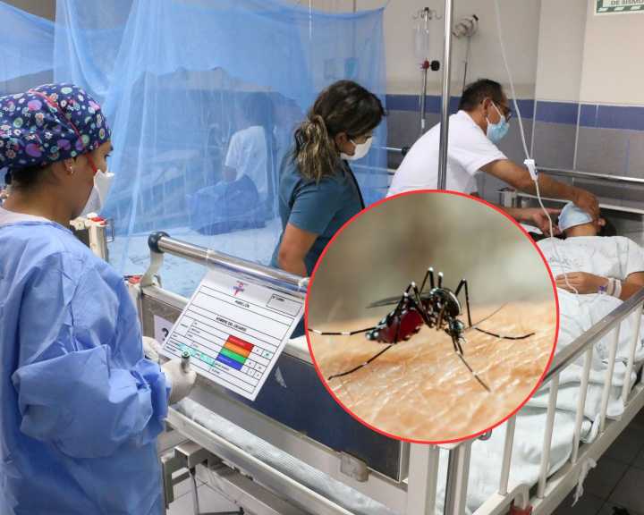 Autoridades piden extrema precaución: Santa Marta entra en alerta amarilla por aumento de casos de dengue