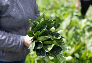 “Latidos del territorio”, iniciativa para acercar a colombia con su ruralidad