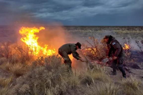 Lago Puelo en emergencia: incendio forestal arrasa 1.500 hectáreas en Chubut