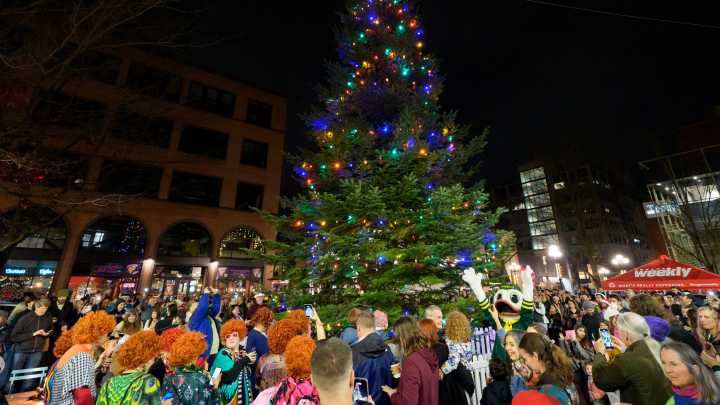 See the Kesey Square tree come to life during Holiday…