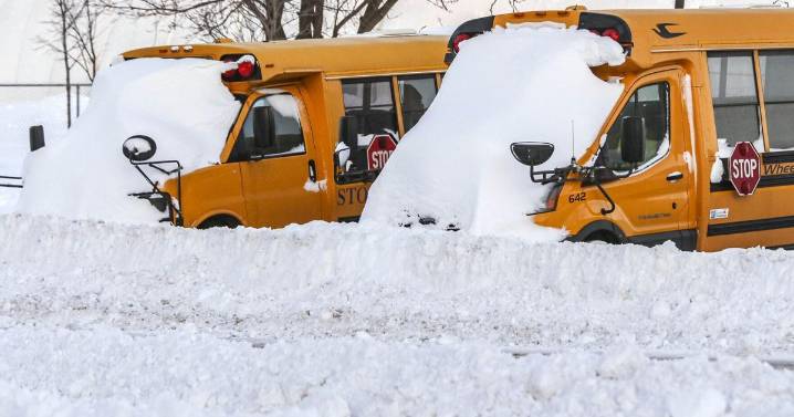 Snows days across the GTA, here is what you need to know