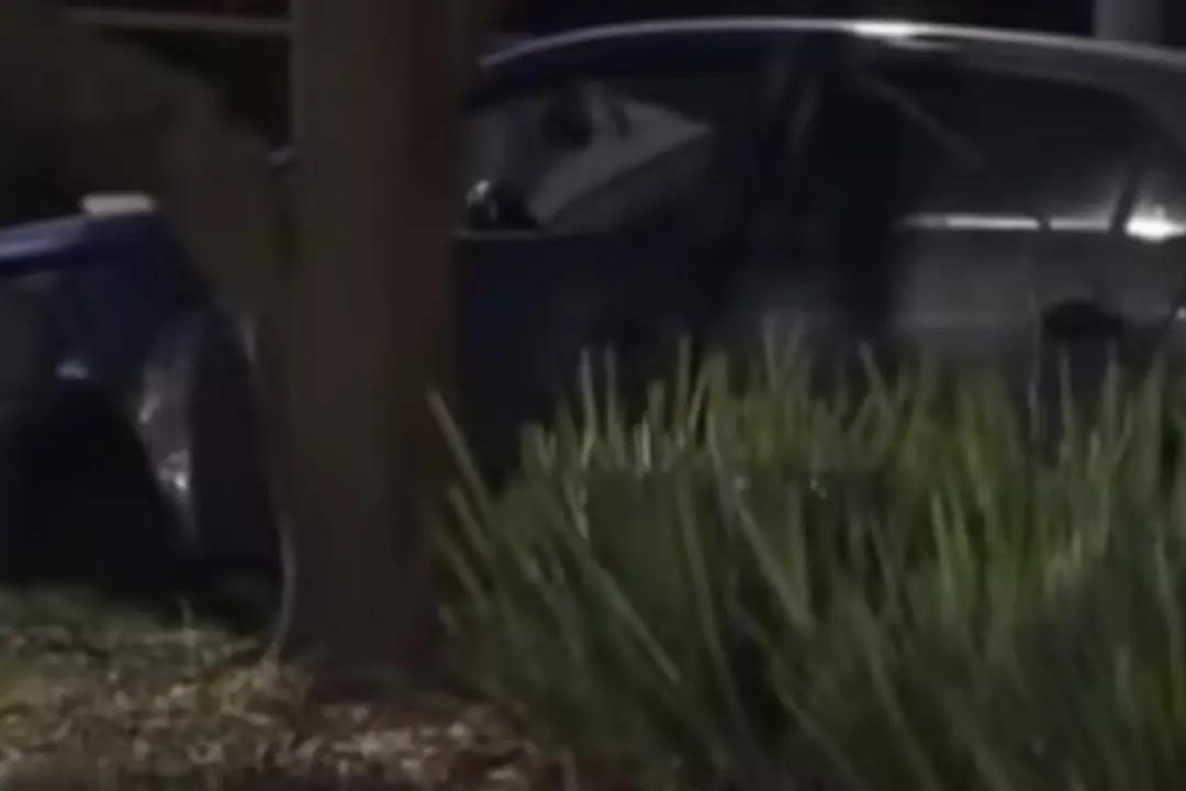 Investigan accidente frente al Jardín Botánico en Bogotá que dejó una mujer y bebé muertos