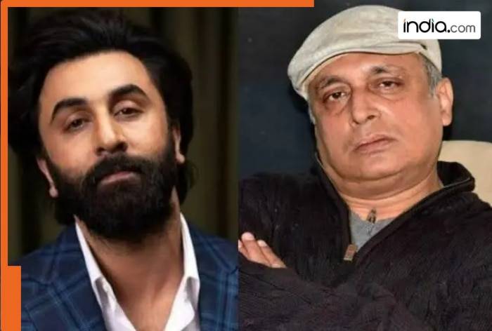 You won't believe what Piyush Mishra said about his Rockstar and Tamasha co