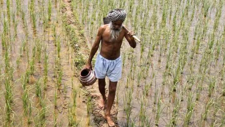 Why farmers bristle at Centre’s draft Seed Bill 2025 as feedback deadline nears