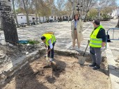 El Ayuntamiento de Ronda adjudica las obras de remodelación integral de la plaza Ruedo Alameda por 1,2 millones