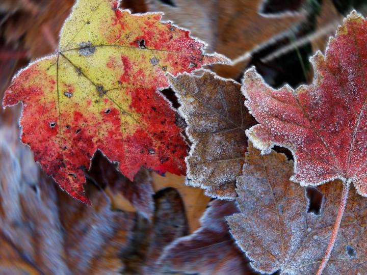 Warming trend into the weekend before a clipper closes in