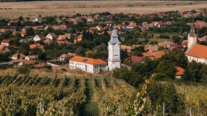 The hidden European wine region for food