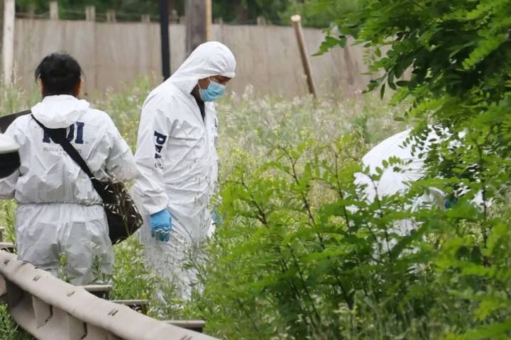 Padre e hijo son asesinados en Cabrero: Fueron encontrados con disparos en la cabeza