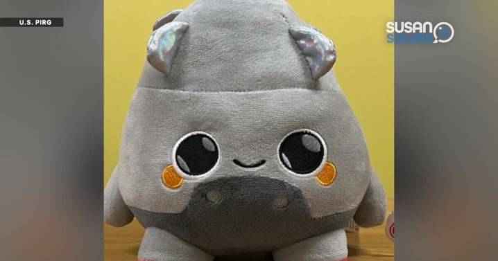 Susan Solves It: AI toy risks