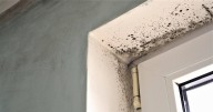 Winter habit can help stop mould growing in your home and it costs nothing
