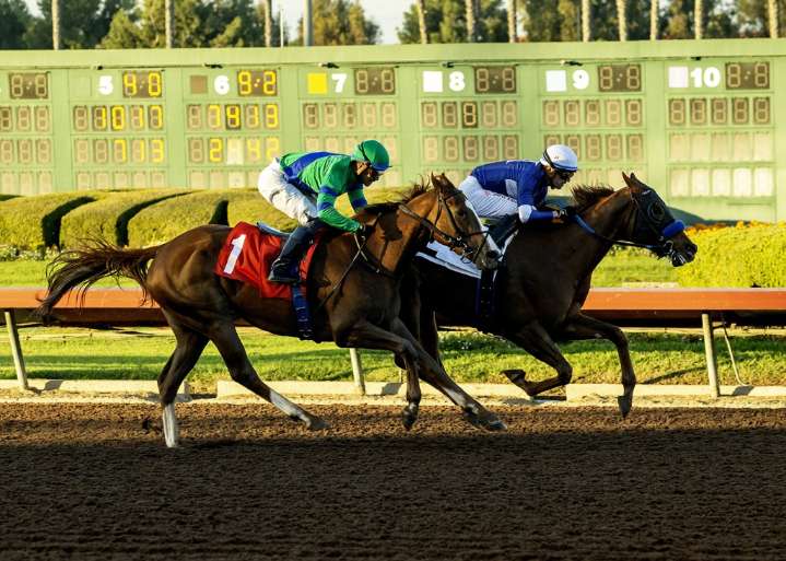 Liberation, Juan Hernandez win close one at Los Alamitos