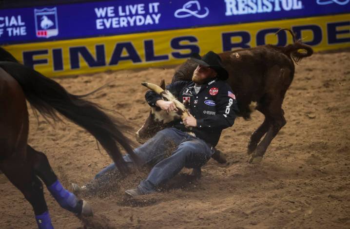 Regular-season leader seeks first world title 