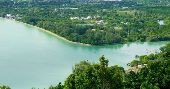 British tourist stabbed in Thailand as suspect flee scene 