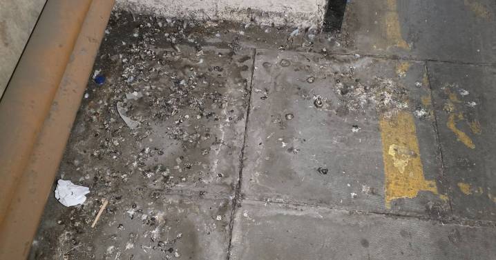 'Absolute nightmare' hospital where patients are wheeled through 'bird faeces'