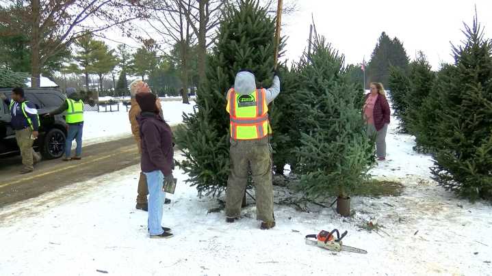 Local real Christmas tree prices stay steady as artificial trees see a bump