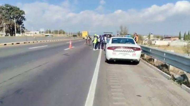 Peregrino adolescente muere atropellado en la México