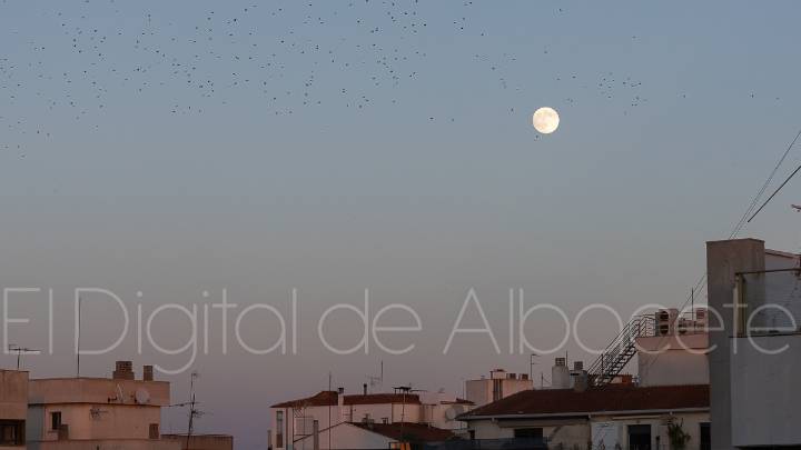 Previsión meteorológica para este sábado, 6 de diciembre, en Albacete: Nubes y temperaturas en aumento