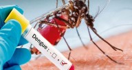 Epidemia deja 33 muertos por dengue y chikunguña en Cuba