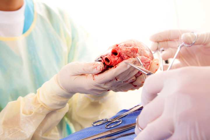 65% of all heart transplants in India performed only in southern states
