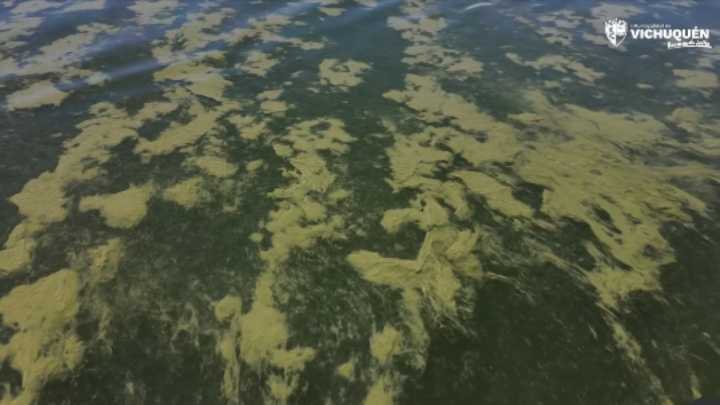 Contaminación del Lago Vichuquén provoca alerta sanitaria y críticas a "inacción" del Gobierno