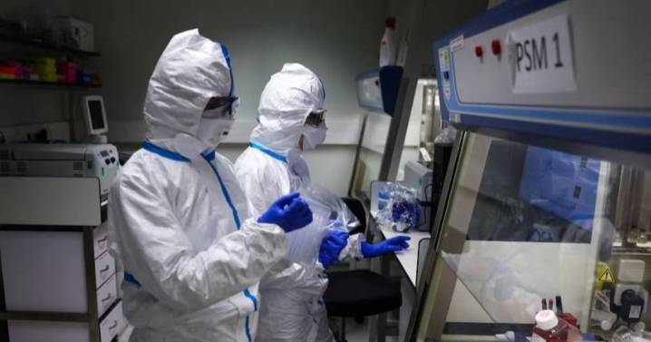 Qué se sabe de la nueva variante de gripe H3N2 que provoca récord de casos en Europa