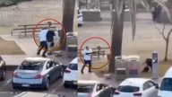 Sydney gunfire: Video shows bystander tackling alleged shooter at Bondi Beach