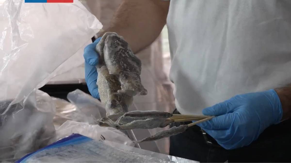 Seremi de Salud clausuró local asiático que vendía productos marinos sin etiquetado