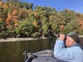 Beaver Lake trip offers feathery show on water, in sky