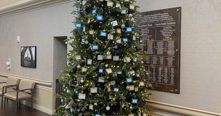 Hospital Holds Annual Love Light Tree Fundraiser