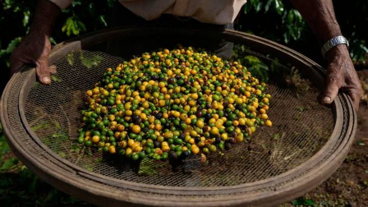 It’s not just Americans who are feeling US tariffs. Five charts show their global impact