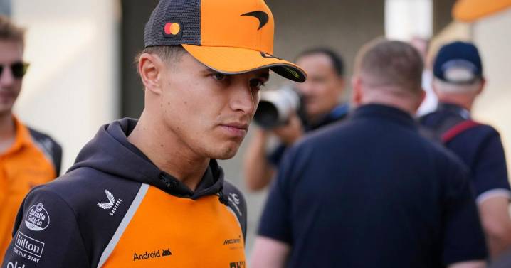 Lando Norris with "most to lose" as F1 title decider looms in Abu Dhabi